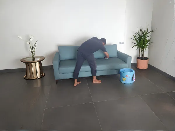 Sofa Cleaning